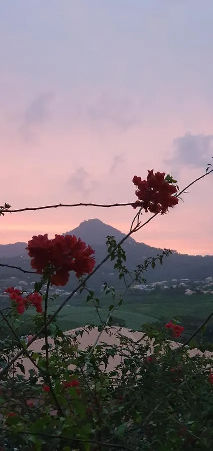 Villa Bambou Le Vauclin Holiday home