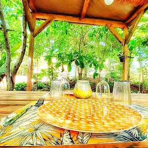  Tente de luxe Glamping Farmer